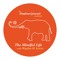 Elephant Journal: The Mindful Life