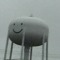 Gangsta Watertower