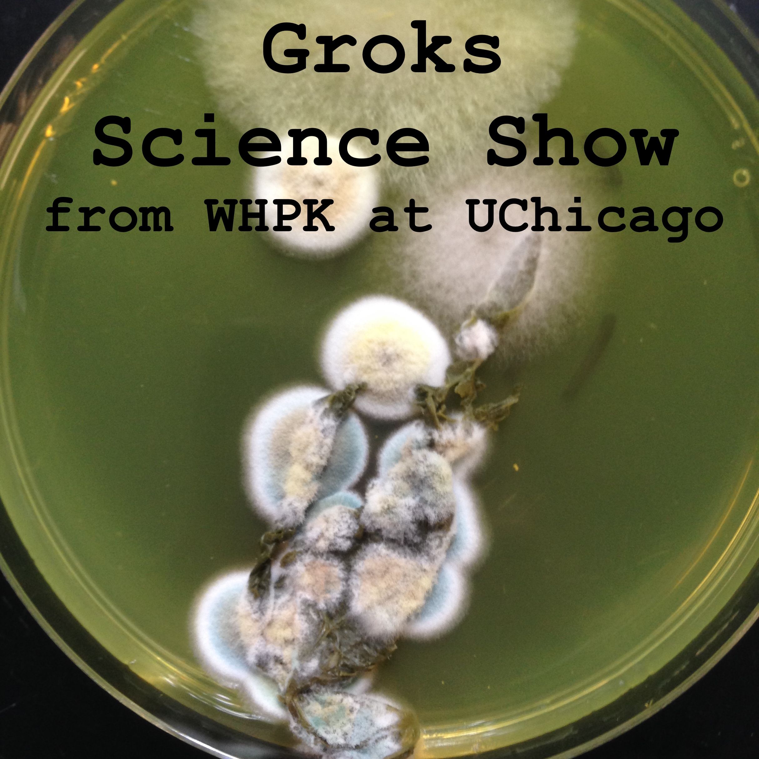 Groks Science Show