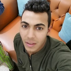 Rezk Mahrous