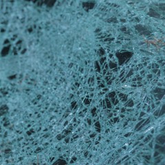 Scarlett Banshee & The Carnival