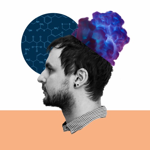 Wo steht die Wissenschaft?’s avatar
