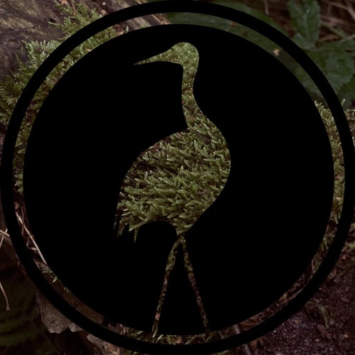 Black Crane’s avatar