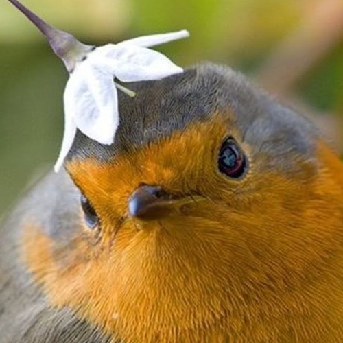 splitgate grind extravaganza