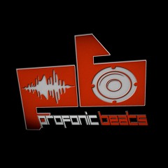 Profonic Beats