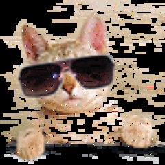 patcodiaz5