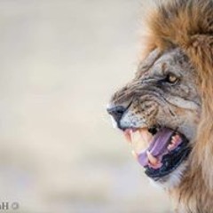 Mohamed Bin AlNaggar