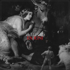 Vulgaris