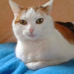 Liégeois Marie-Christine