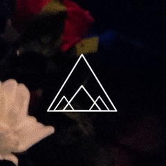 Mount Reina Collective