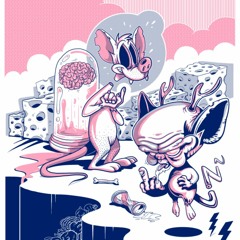 Pinky and the Brain