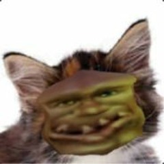Whiskerschan