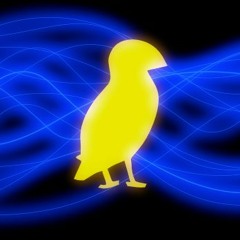 Generic Yellow Bird Music