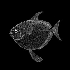 moonfish