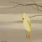 birdsuicide