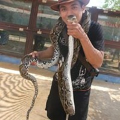 Gonca