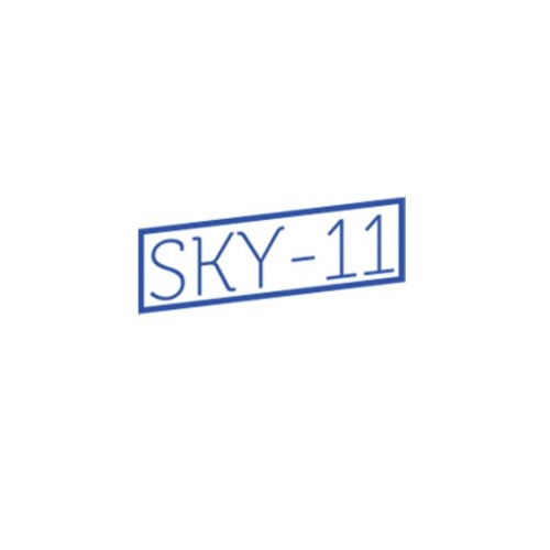 SKY RECORDS’s avatar
