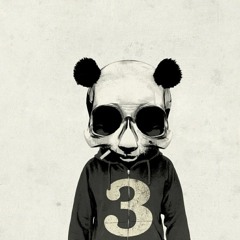 Ironic Panda