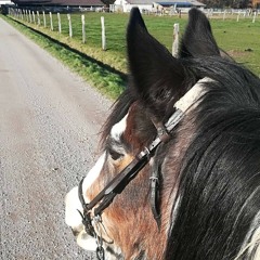 Anke