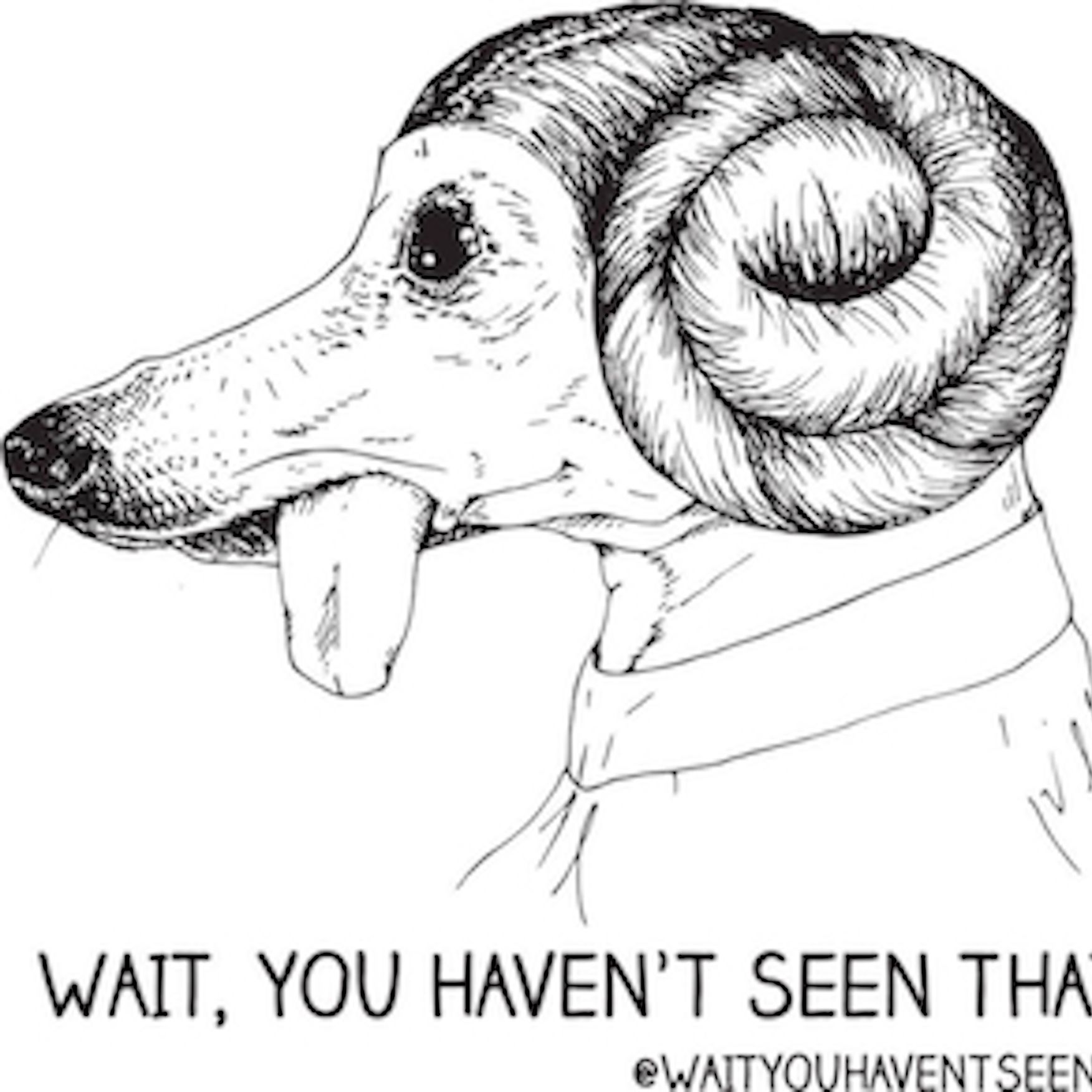 Wait, You Haven't Seen That?!