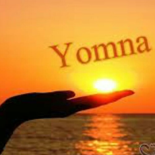 yomna ahmed hewidy’s avatar