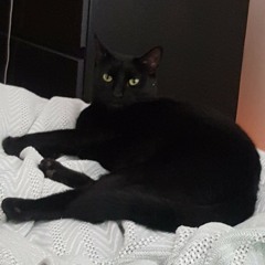 Jake