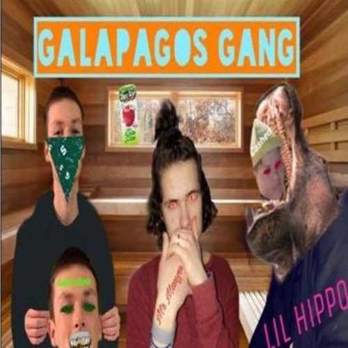 Stream Galapagos Gang music | Listen to songs, albums, playlists for ...