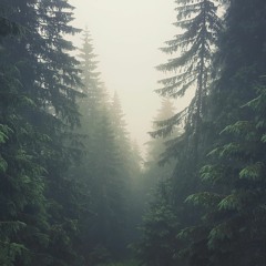 Vadim Doker