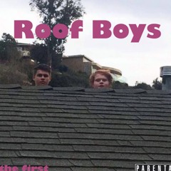 Roof Boys