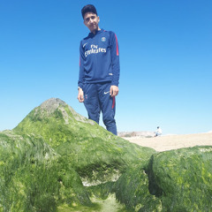 Arash