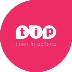 Tineri In Politica