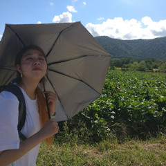 Елена Шулбаева
