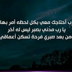Mohamed Hamdy