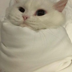 Yuki Chan