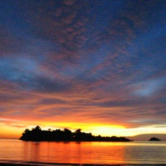 le thé aux harem d árchimed