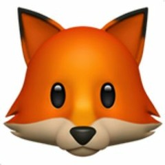 🦊
