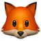 🦊
