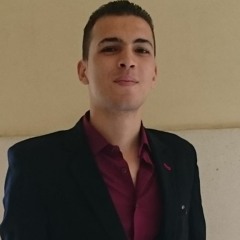 Hassan Almdin