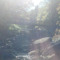 user211031016