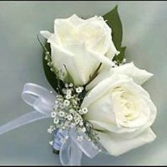 زهره العلا