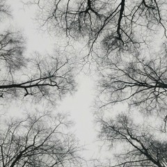 ᴮᴬᴷᴬᴺᴺᴵᴱ