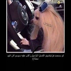 Soosoo Fakrawi