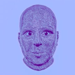 Vørchip