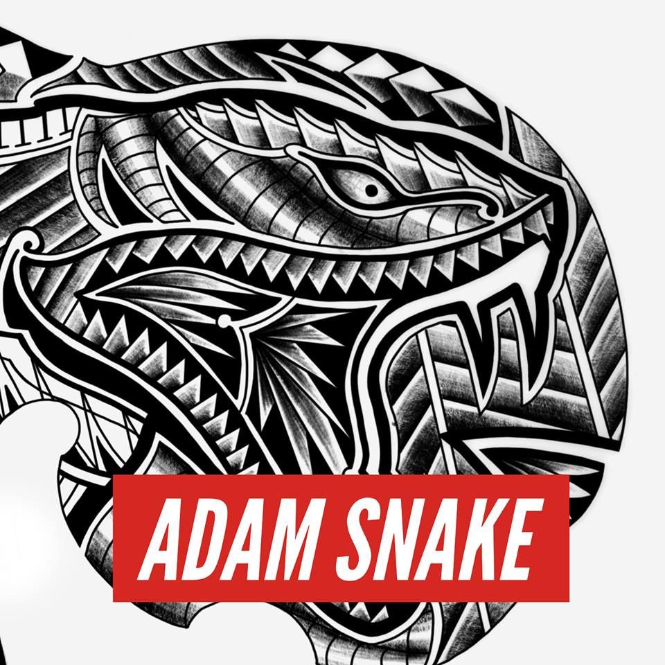 Adam Snake podcast artwork