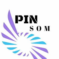 PIN SOM