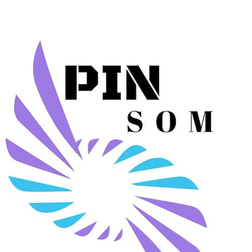 PIN SOM’s avatar
