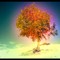 Panology