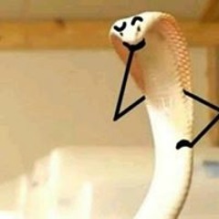 hmmmmmm