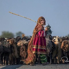 khan tariq khan