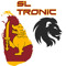 SL TRONICS